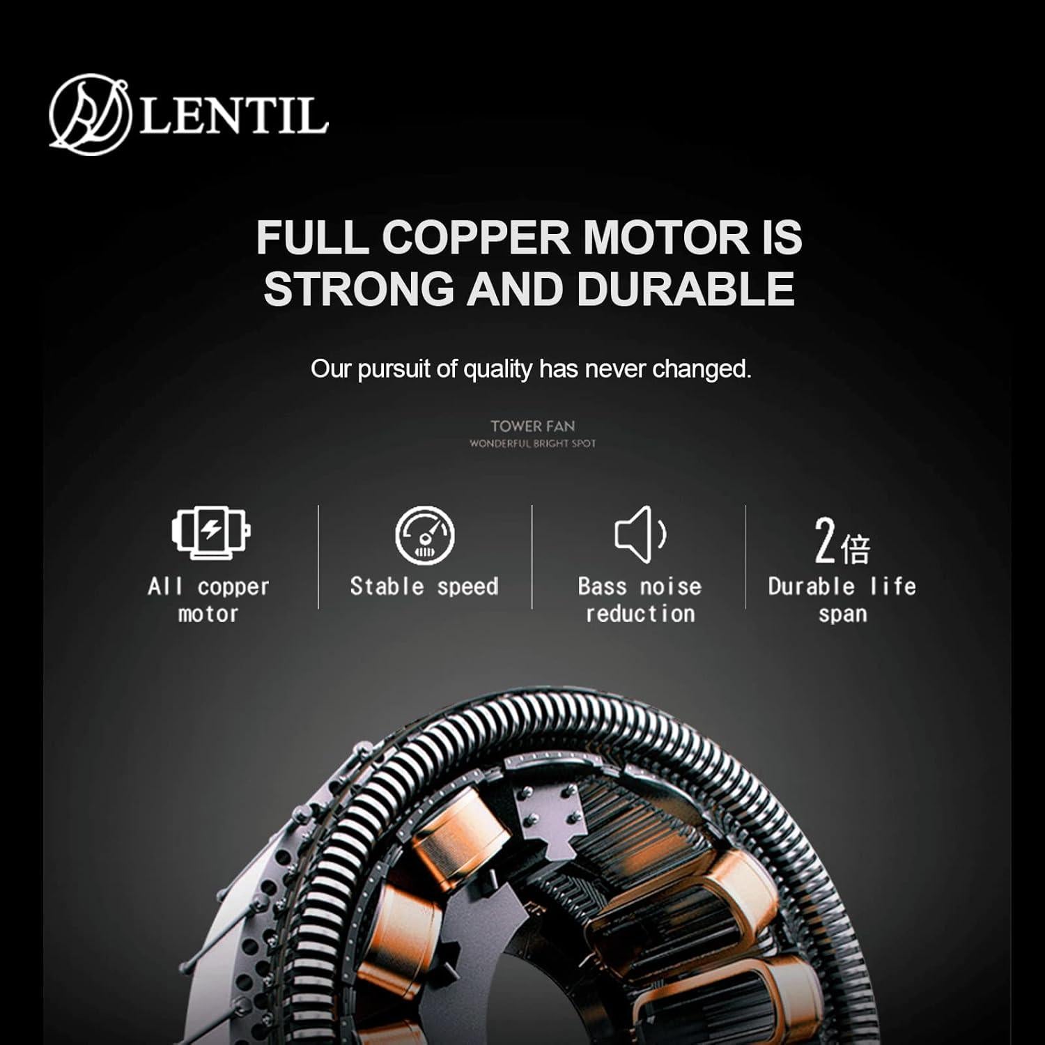 Masajeador de Celulitis Eléctrico BDLENTIL PL-603B 8 Cabezas