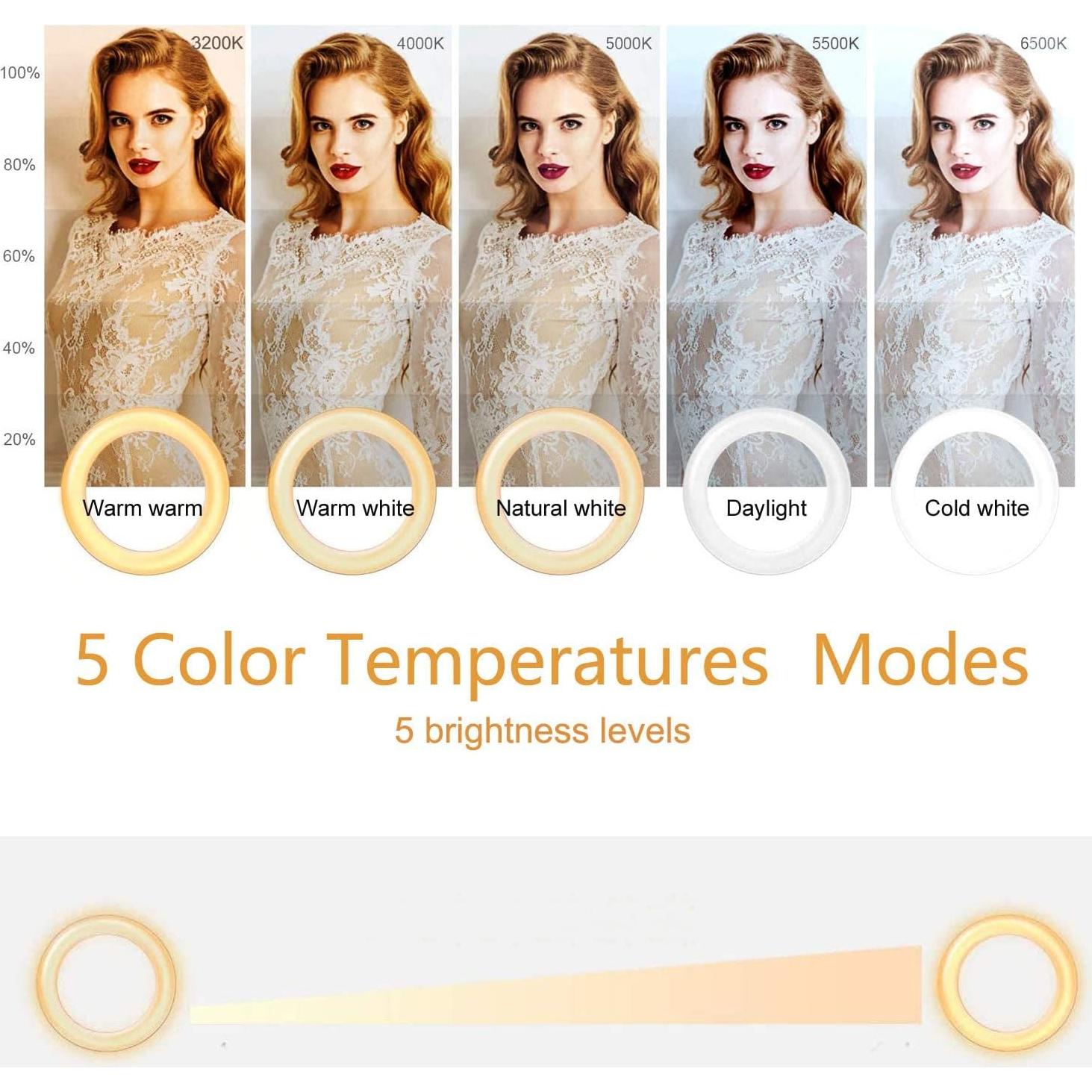 Ring Light Video Conference Lighting Kit 3200k-6500K Dimmable Led Clip on Computer Monitor Laptop Phone for Content Creator (YouTube/TikTok/Twitch) Makeup,Conference,Selfie,Video,Vlog (Black)