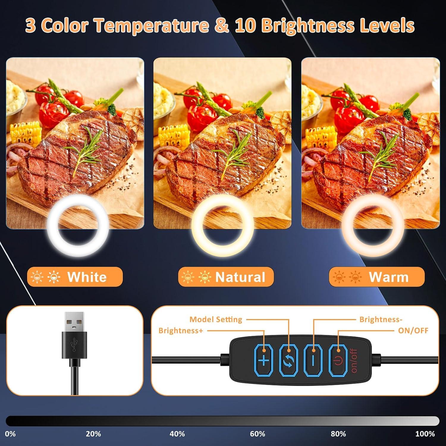 Portable Travel Ring Light for Laptop Zoom Video Conference, 5'' Bright Circle Light with Extendable Stand, Small Halo Lighting with Phone Holder for Video Recording Live Stream Facetime Photography