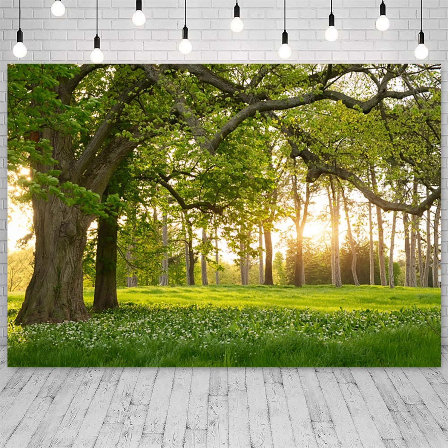 Fondo Fotográfico Vinilo 2.13x1.52m TOENGS Bosque Primavera