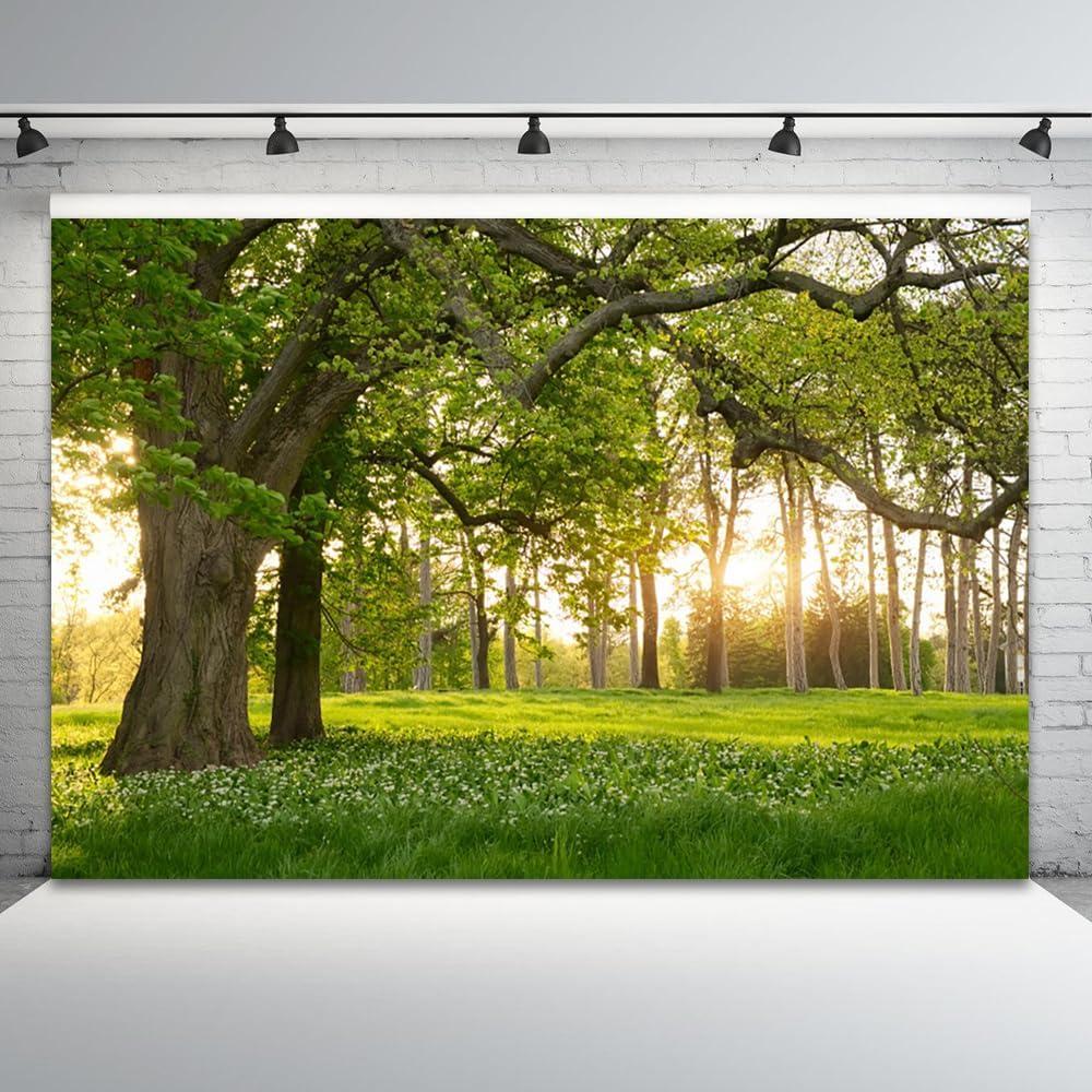 Fondo Fotográfico Vinilo 2.13x1.52m TOENGS Bosque Primavera