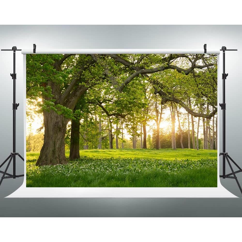 Fondo Fotográfico Vinilo 2.13x1.52m TOENGS Bosque Primavera