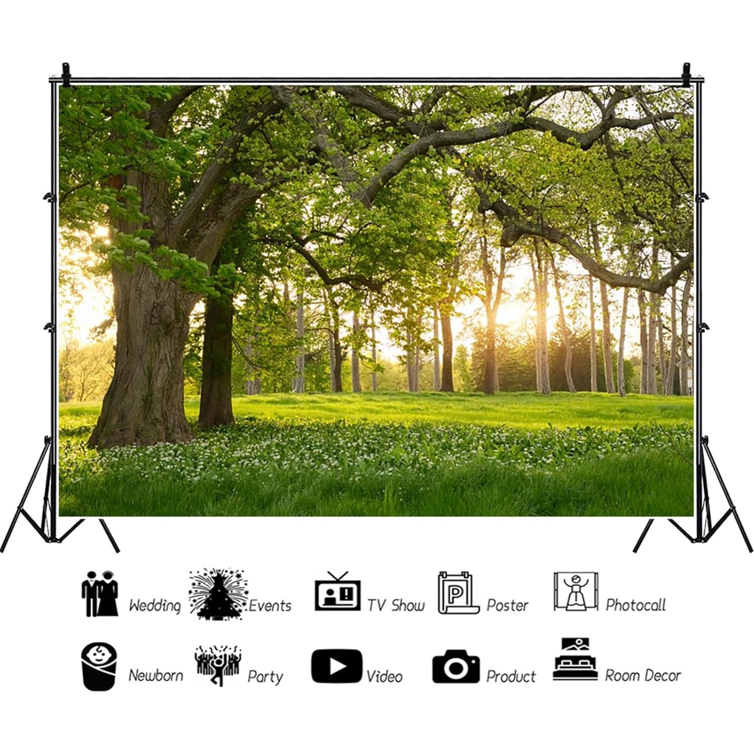 Fondo Fotográfico Vinilo 2.13x1.52m TOENGS Bosque Primavera