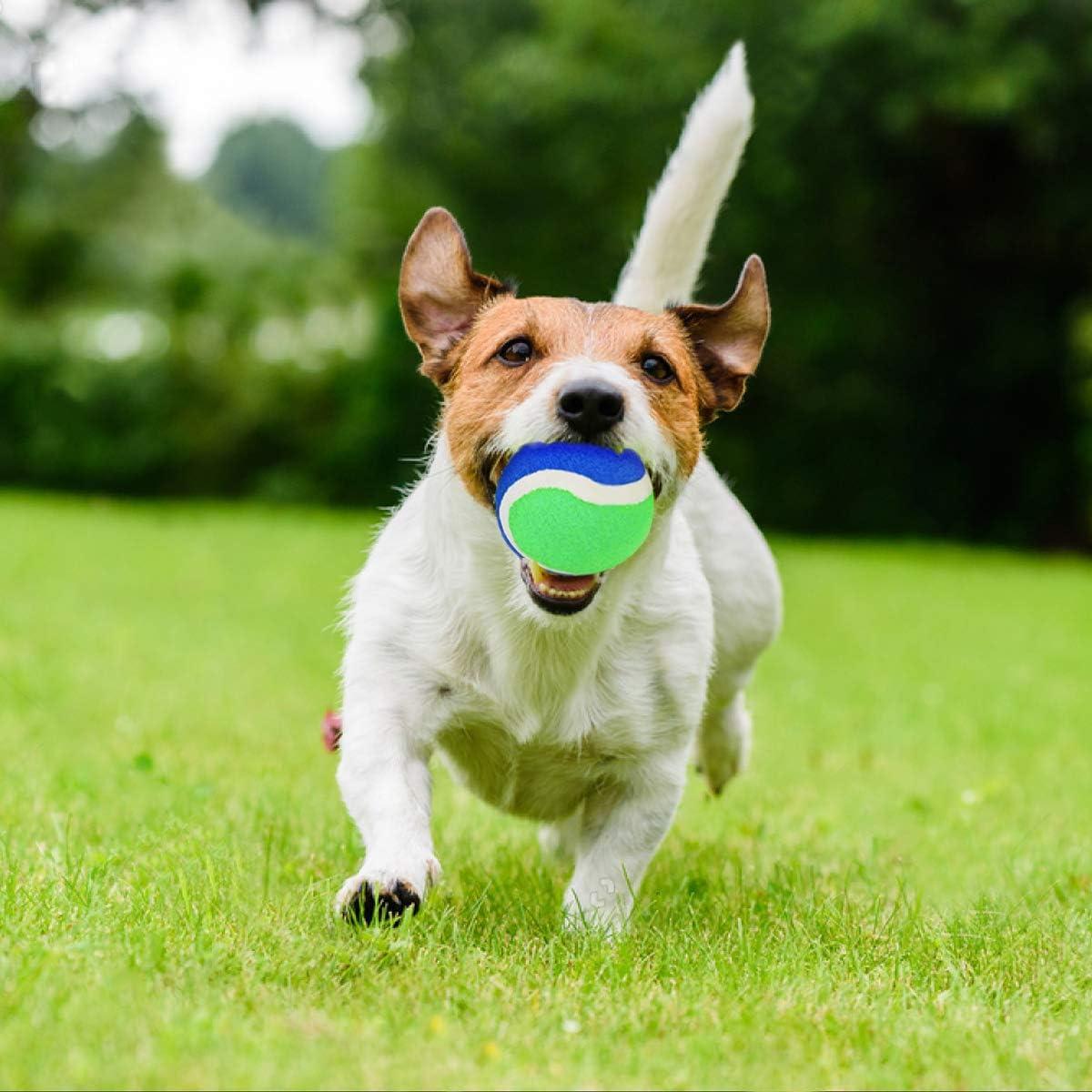 Juego de Lanzar y Atrapar EVERICH 2 Palas 2 Pelotas Azul Verde
