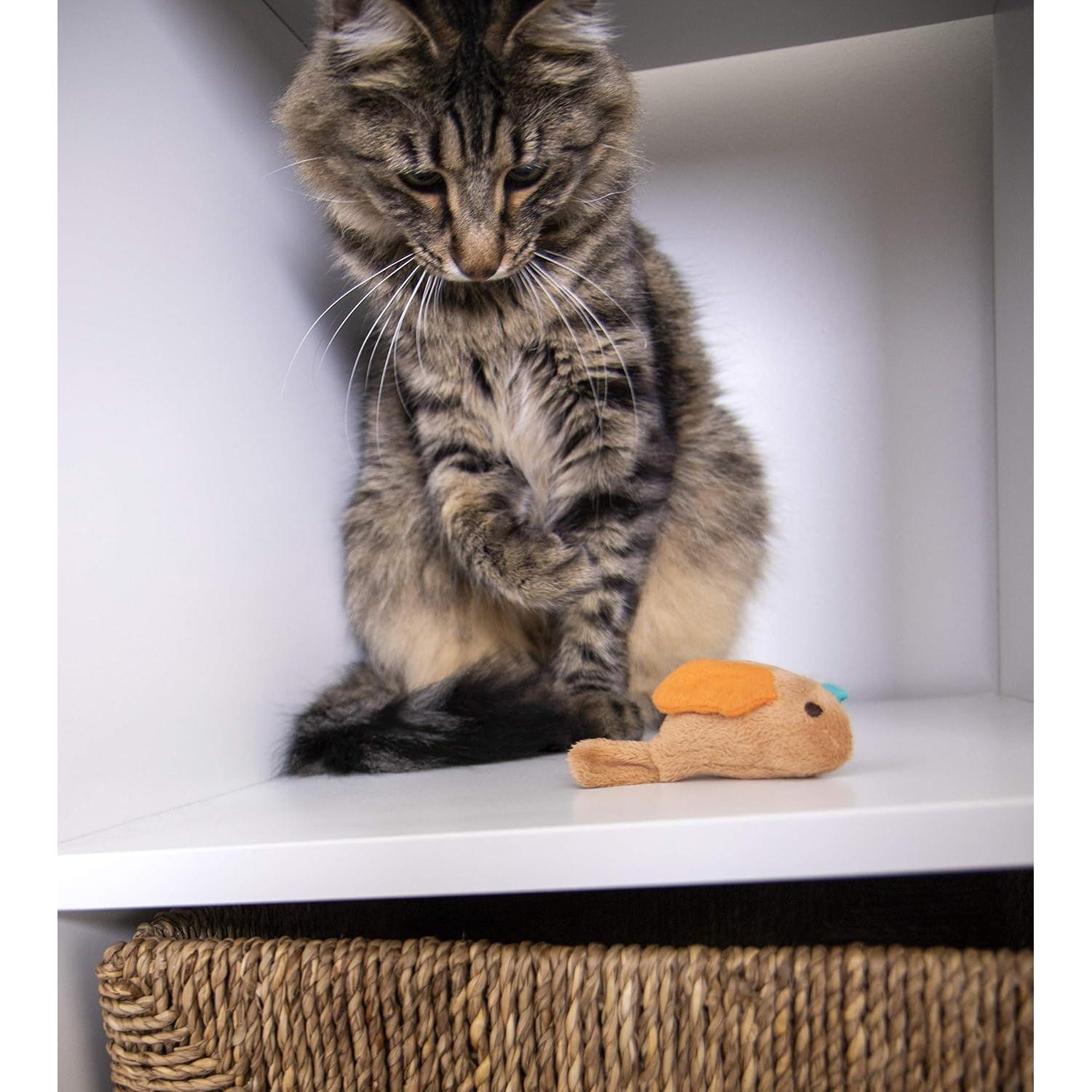 Juguete Electrónico para Gatos SmartyKat Chickadee Chirp