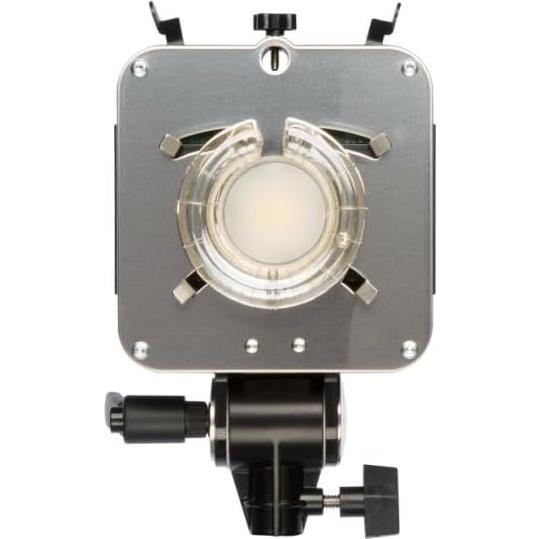 Monolight Paul C. Buff DigiBee DB800 320Ws LED Negro
