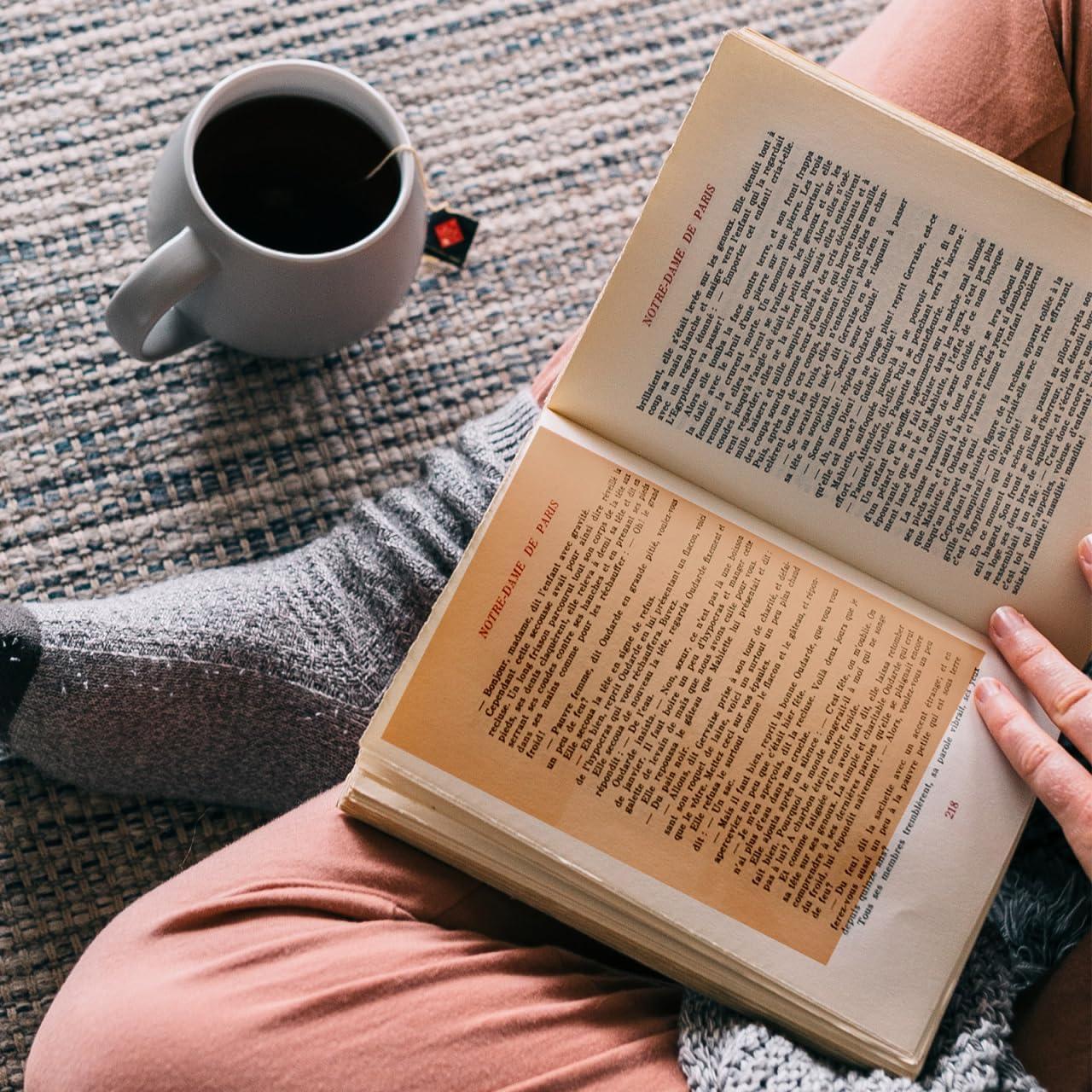 6pcs Orange PVC Light Gel Filters for Photography Film Video Education Lighting Effects Stage - Dyslexia Aid Color Correction 11.69 X 8.26 Inches