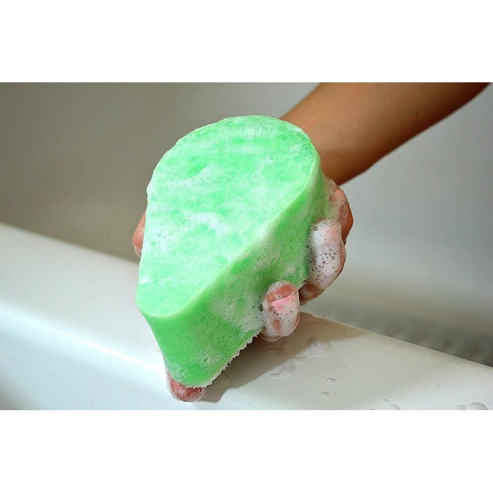 Esponja de Ducha Anticelulitis Spongeables Aloe Fresco