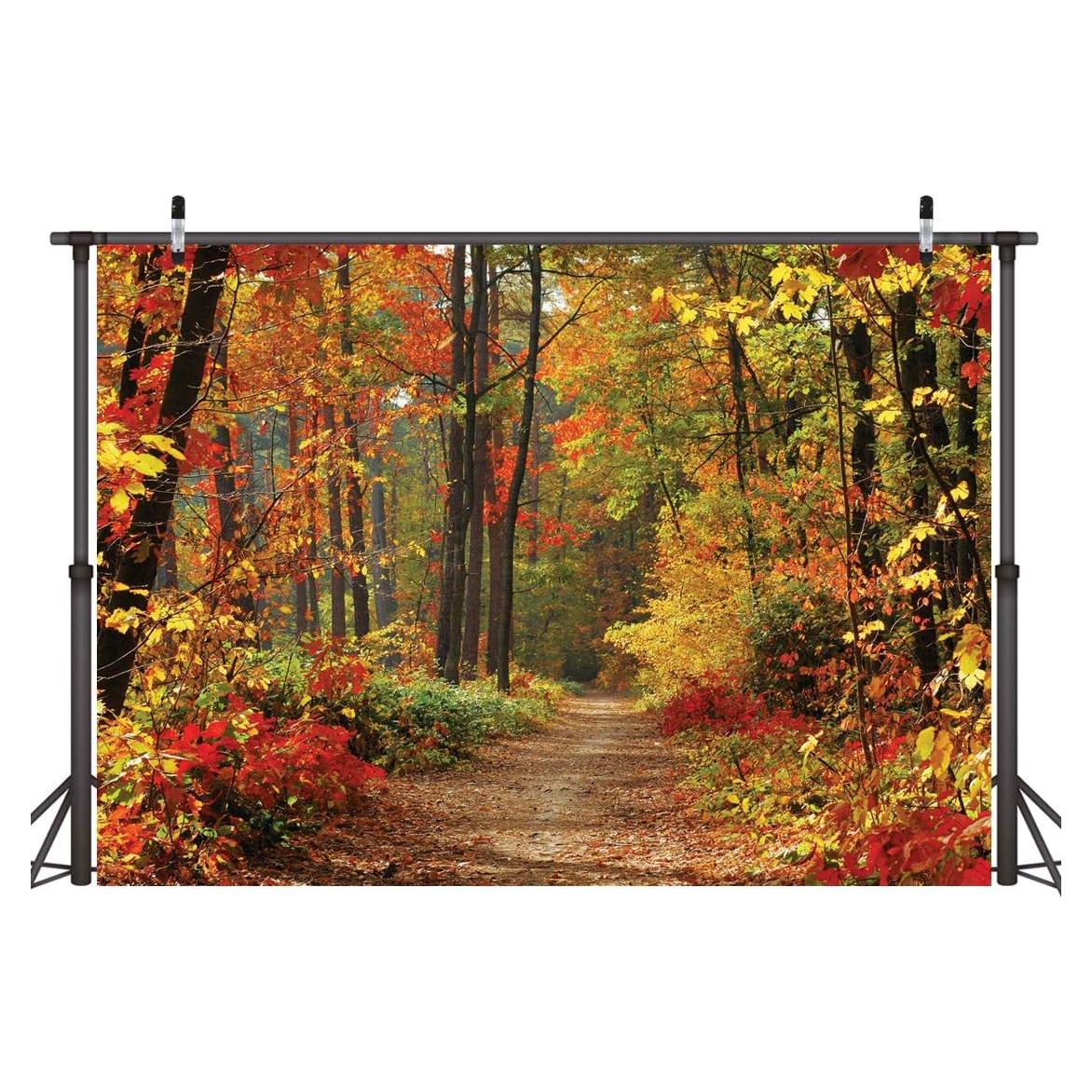 Fondo Fotográfico Vinilo 240x180cm Otoño LYWYGG CP-67-0806