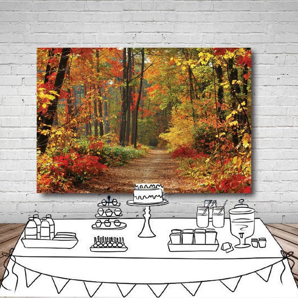 Fondo Fotográfico Vinilo 240x180cm Otoño LYWYGG CP-67-0806