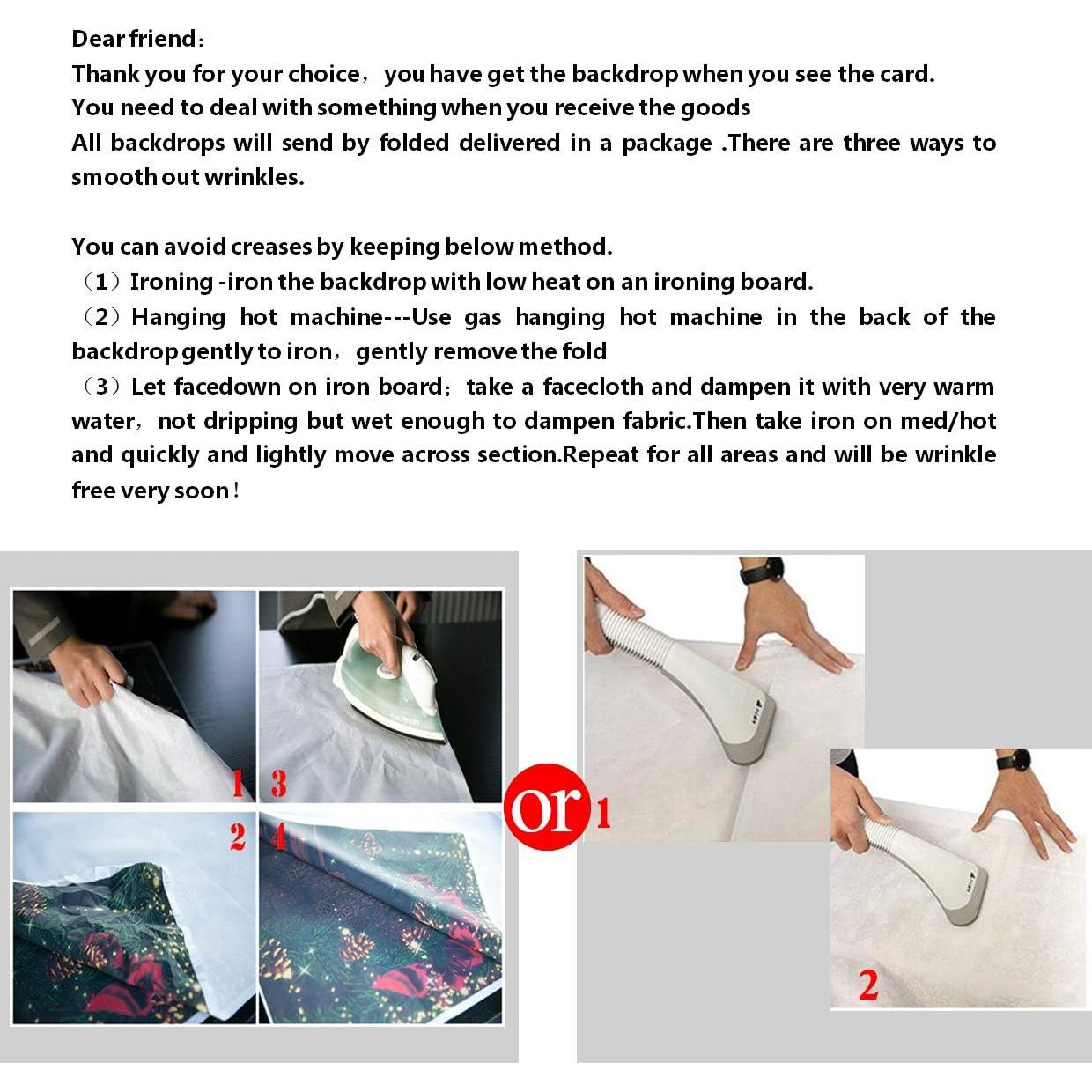 Fondo Fotográfico Vinilo 240x180cm Otoño LYWYGG CP-67-0806