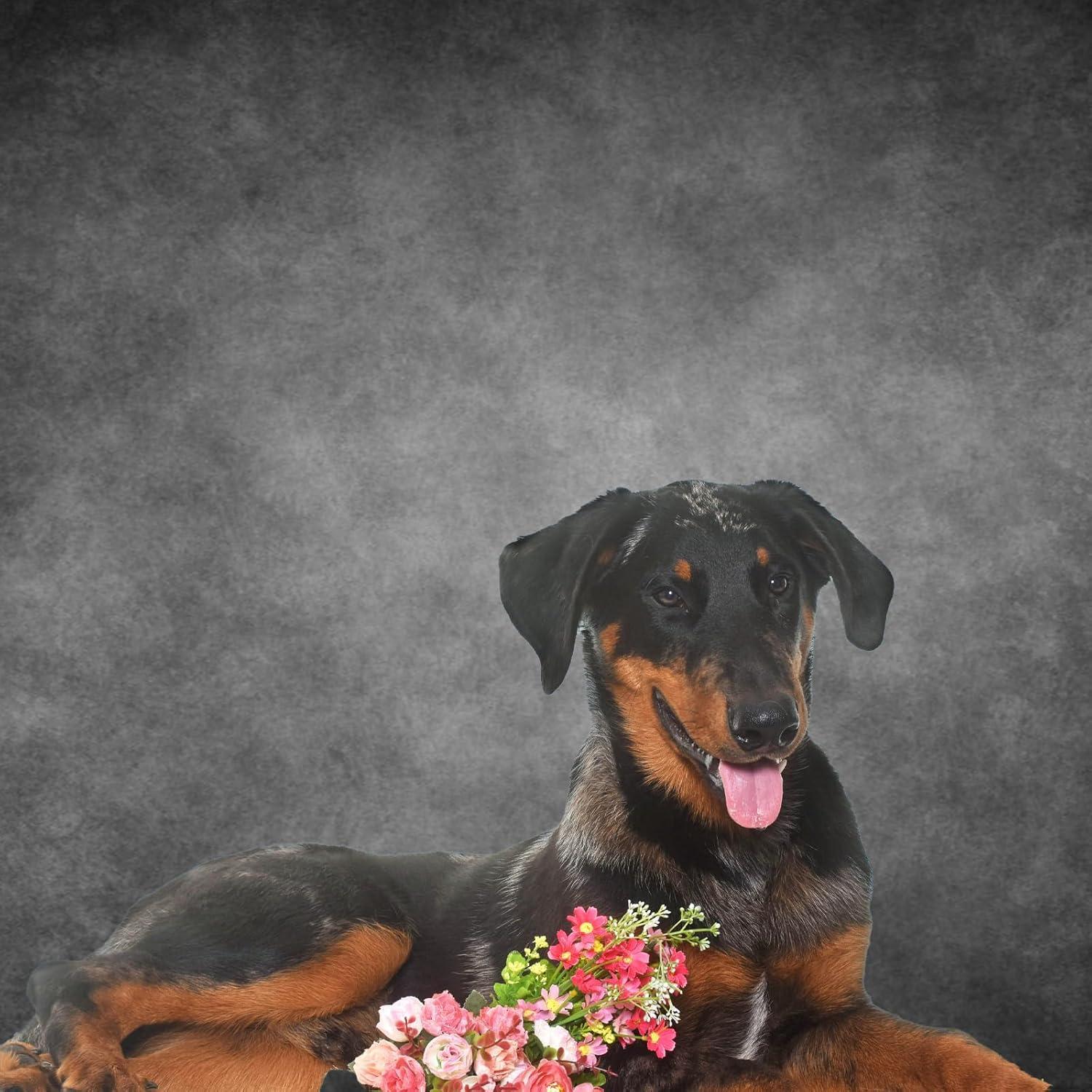 Fondo Fotográfico Gris Abstracto 3x2.5m Caaerttply