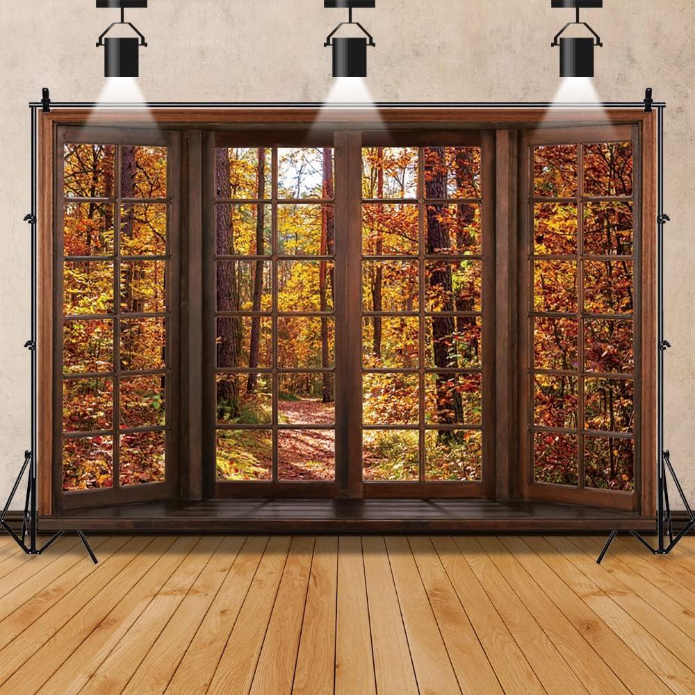 Fondo de Fotografía Laeacco 3x2.5m Otoño Bosque Árboles