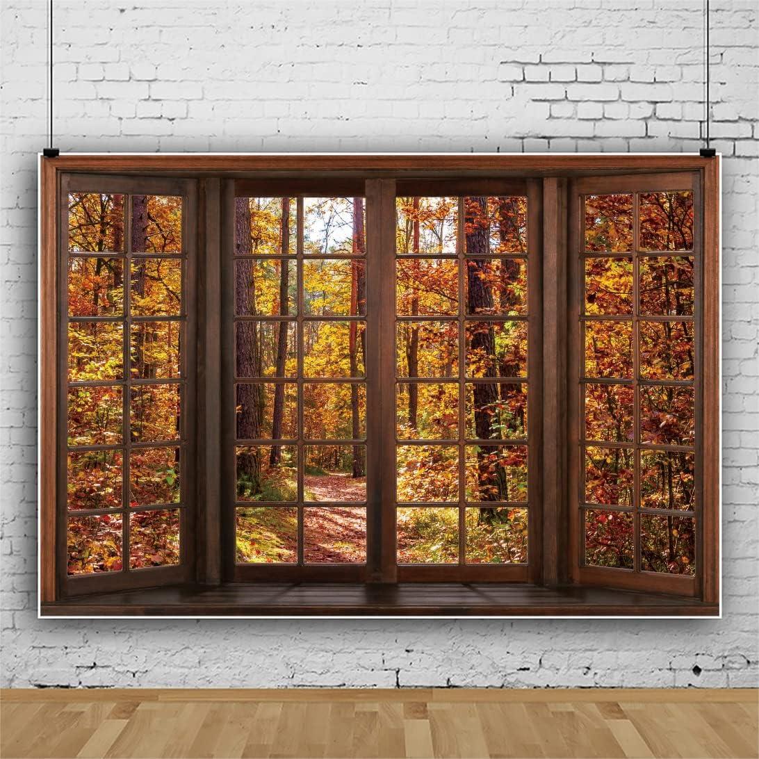 Fondo de Fotografía Laeacco 3x2.5m Otoño Bosque Árboles