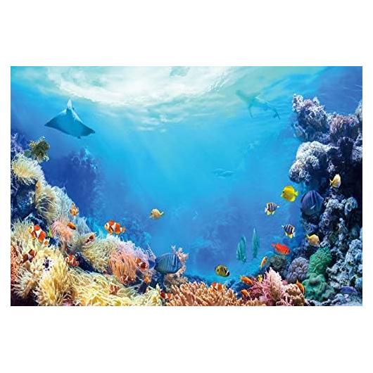 Fondo de Verano Submarino Pnylzzyxh 300x240cm Vinilo Decorativo
