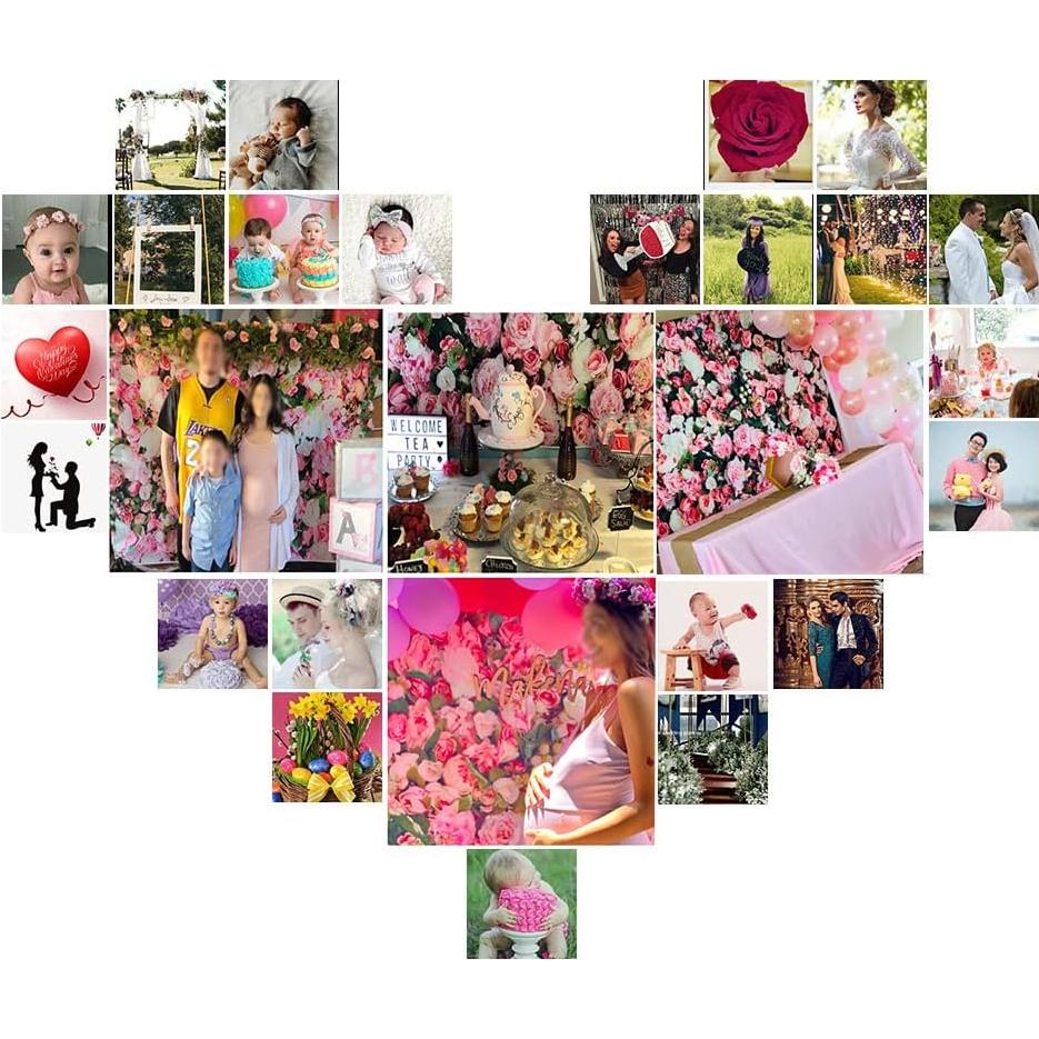 Fondo de Fotografía Floral Rosa 304.8x243.8 cm Estudio de Arte