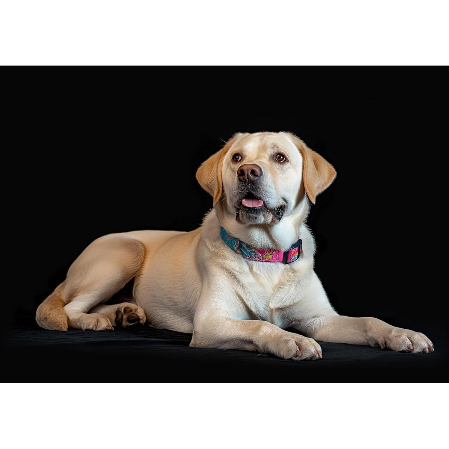 Alfombrilla de Goma para Fotografía Kate 1.5x1.2m Antideslizante