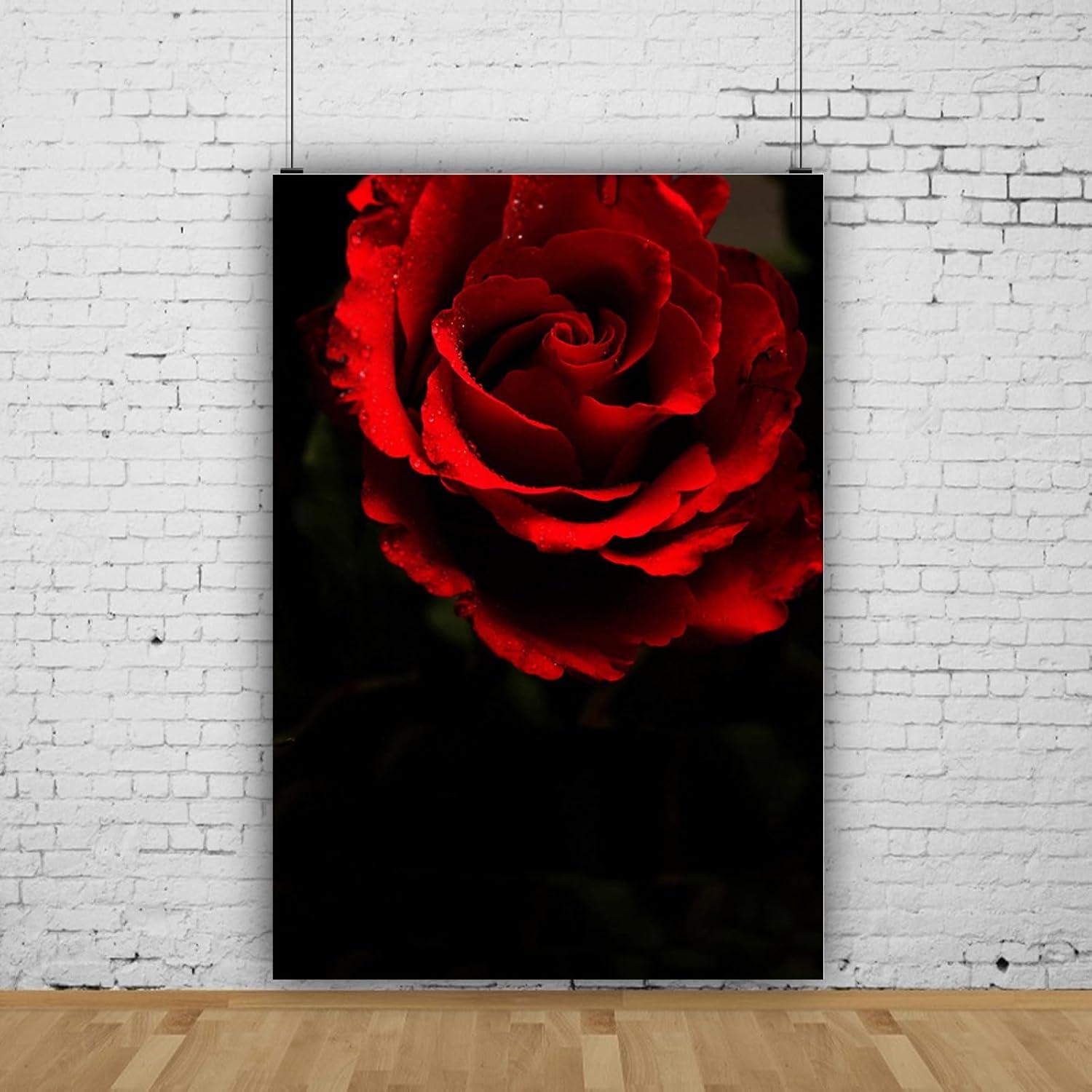 Fondo de Fotografía Vinilo Mestker 1.5x2.1m Rosa Negra