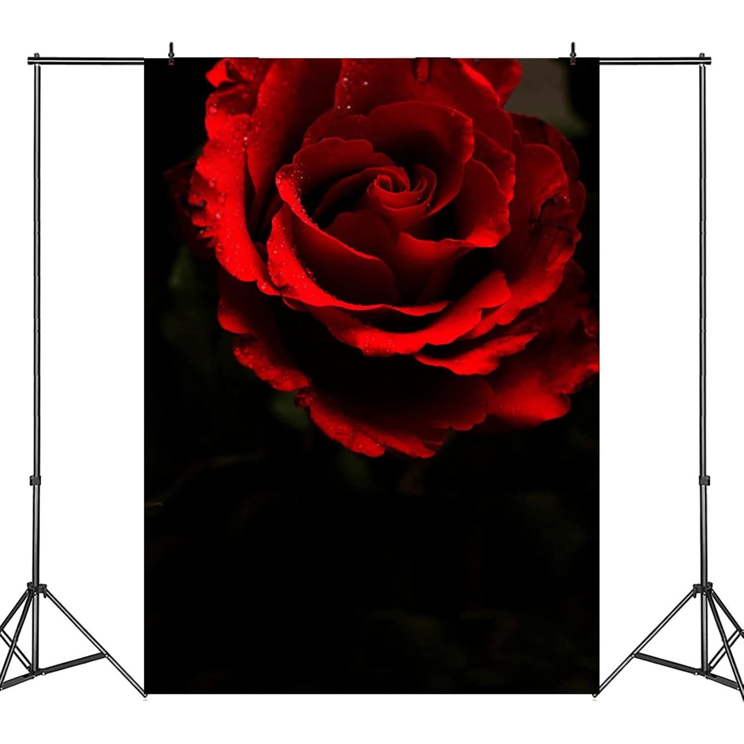 Fondo de Fotografía Vinilo Mestker 1.5x2.1m Rosa Negra