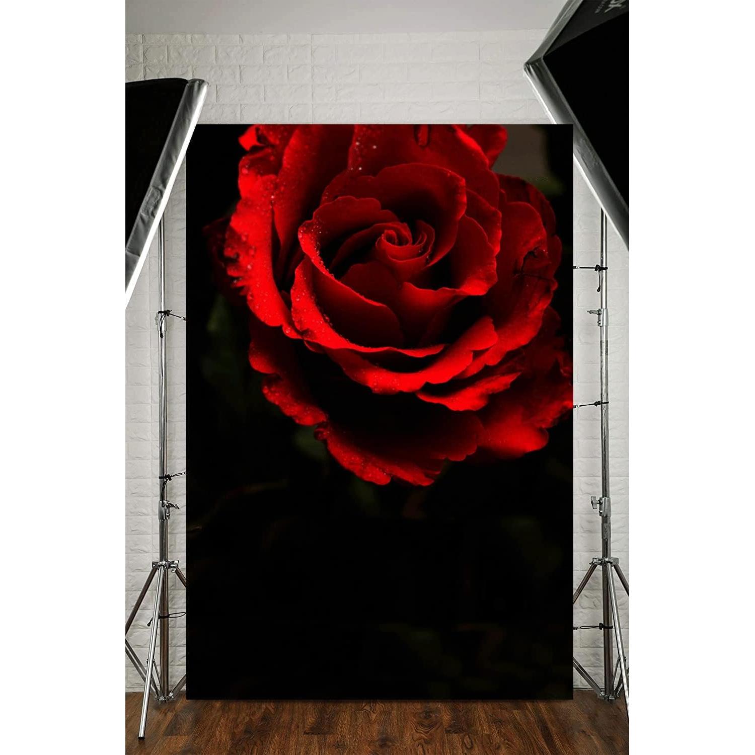 Fondo de Fotografía Vinilo Mestker 1.5x2.1m Rosa Negra