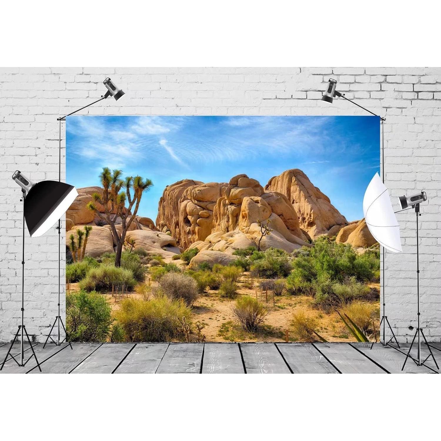 Telón de Fondo BELECO 2.5x1.8m Tela Desértica Fotografía