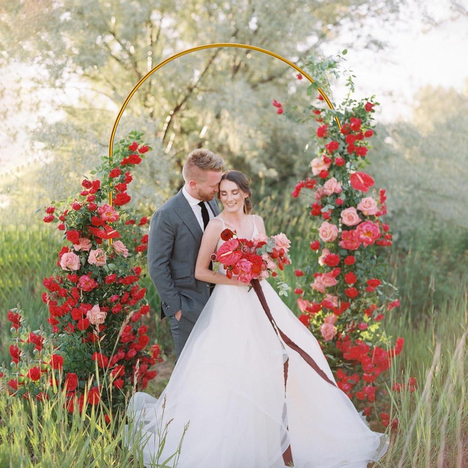 Soporte de Fondo de Arco de Metal RICOJYCX 2.05kg 7.2FT