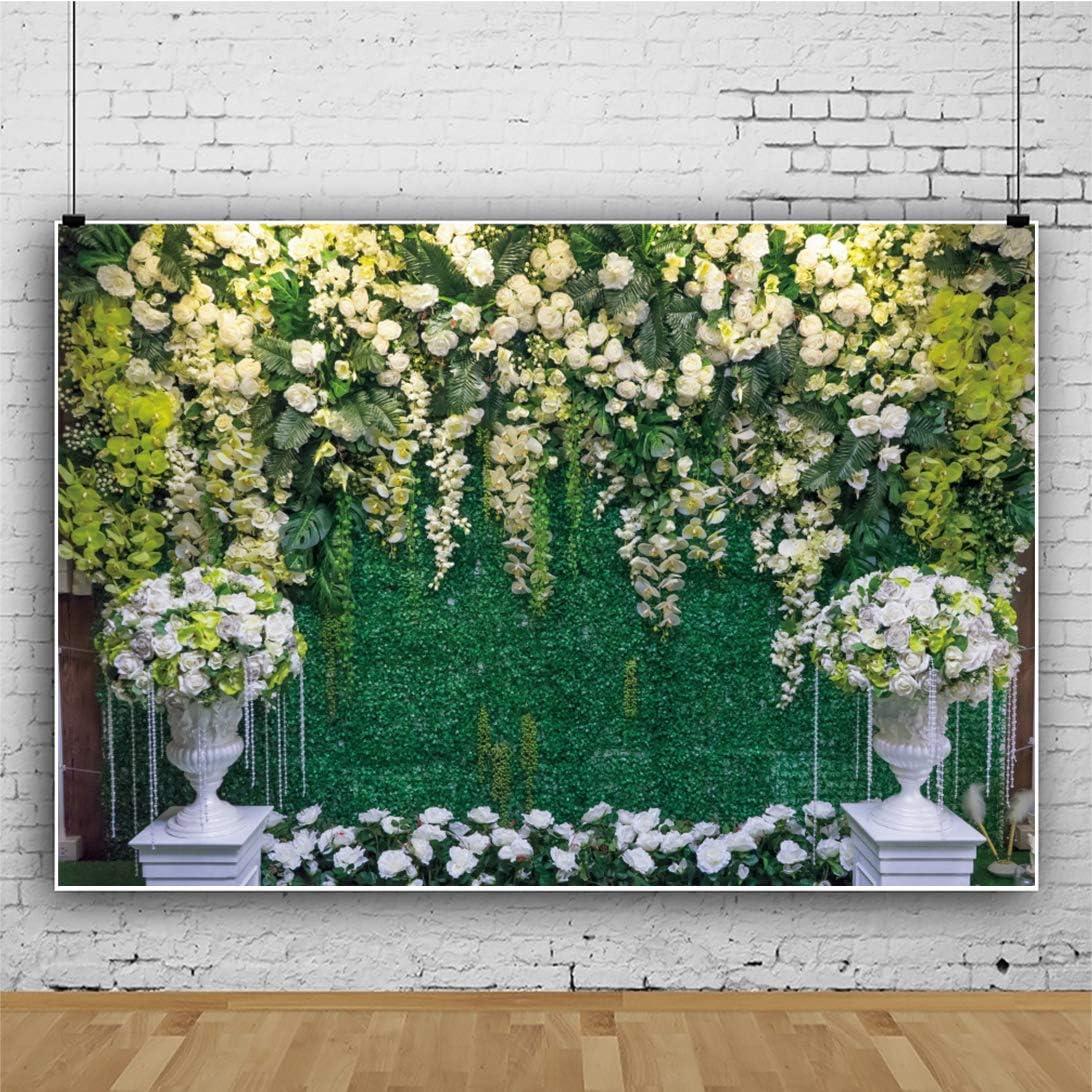 Fondo de Fotografía Vinilo 300x250cm Haoyiyi Flores 3D