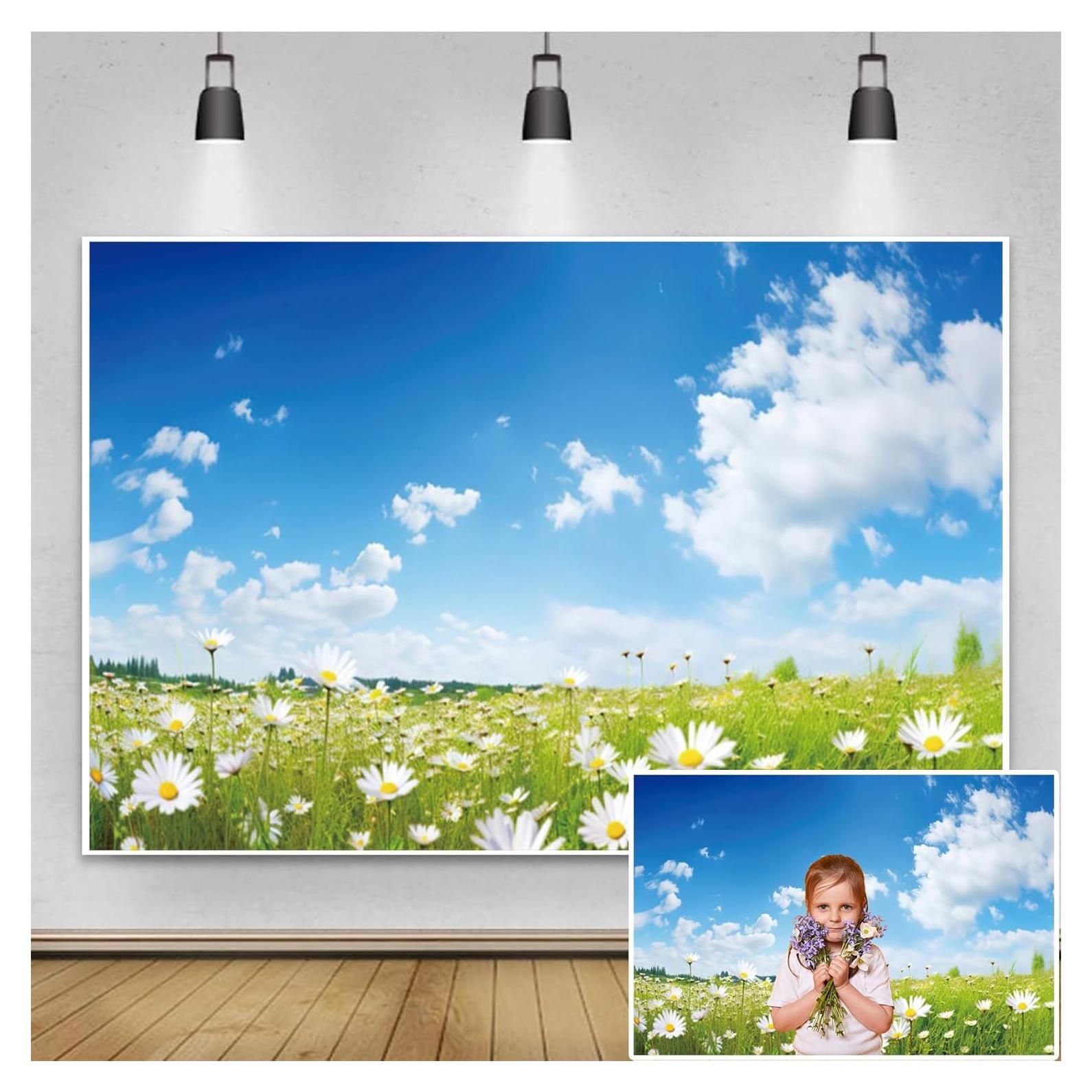 Fondo Fotográfico Renaiss 5x3ft Primavera Pradera Margaritas