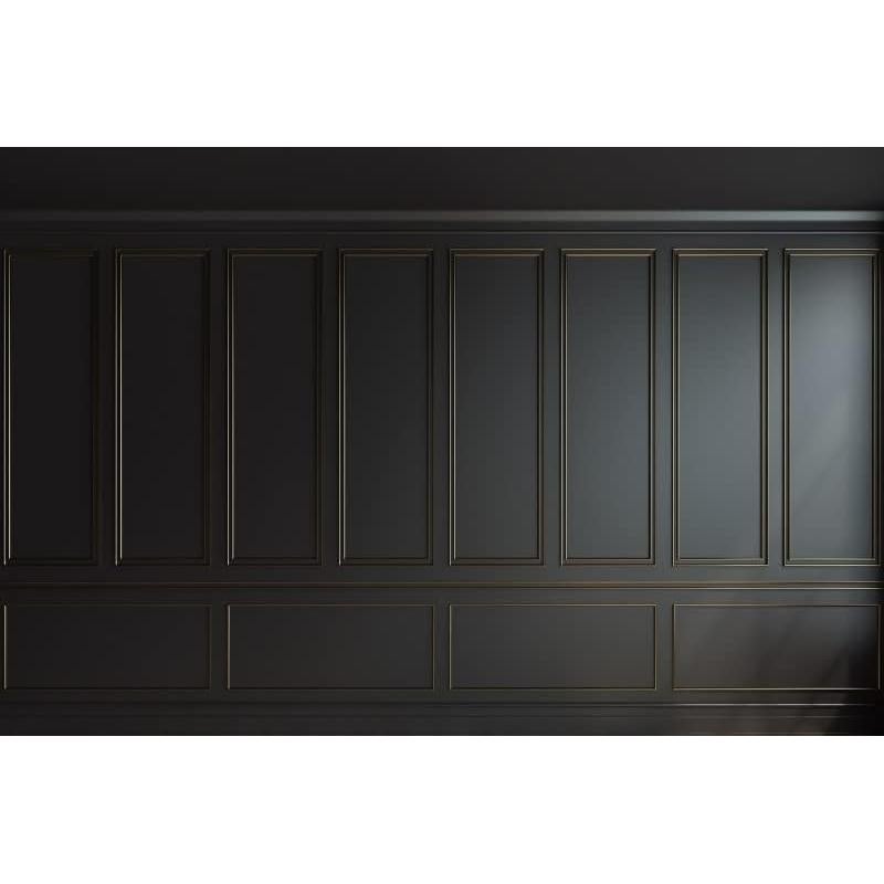 Fondo de Foto Kate 3x2m Microfibra Negra para Estudio