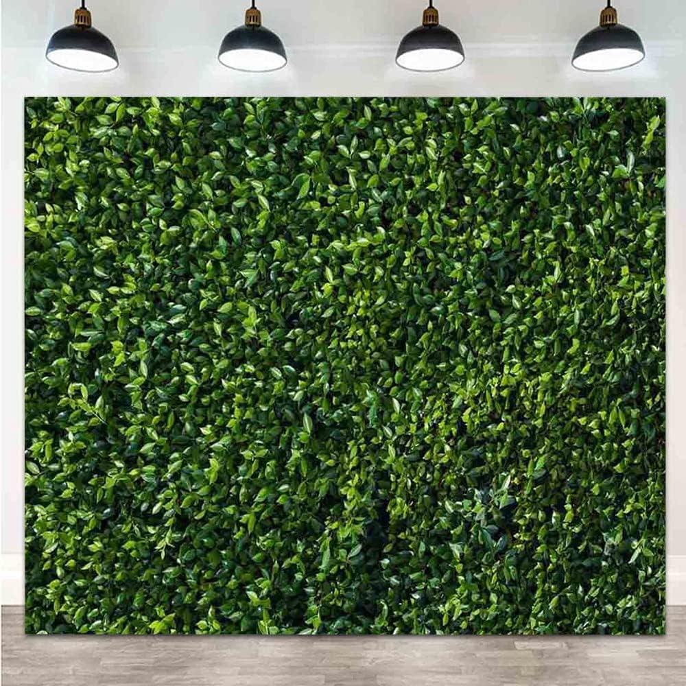 Fondo de Fotografía 2.44x2.44m Hojas Verdes Estudio de Arte