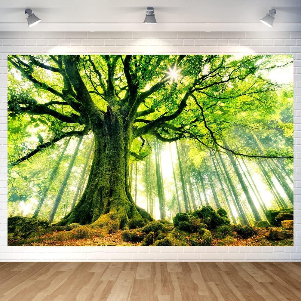 Backdrop Vinilo 2.13x1.52m Árbol Rural Mestiker para Fotografía