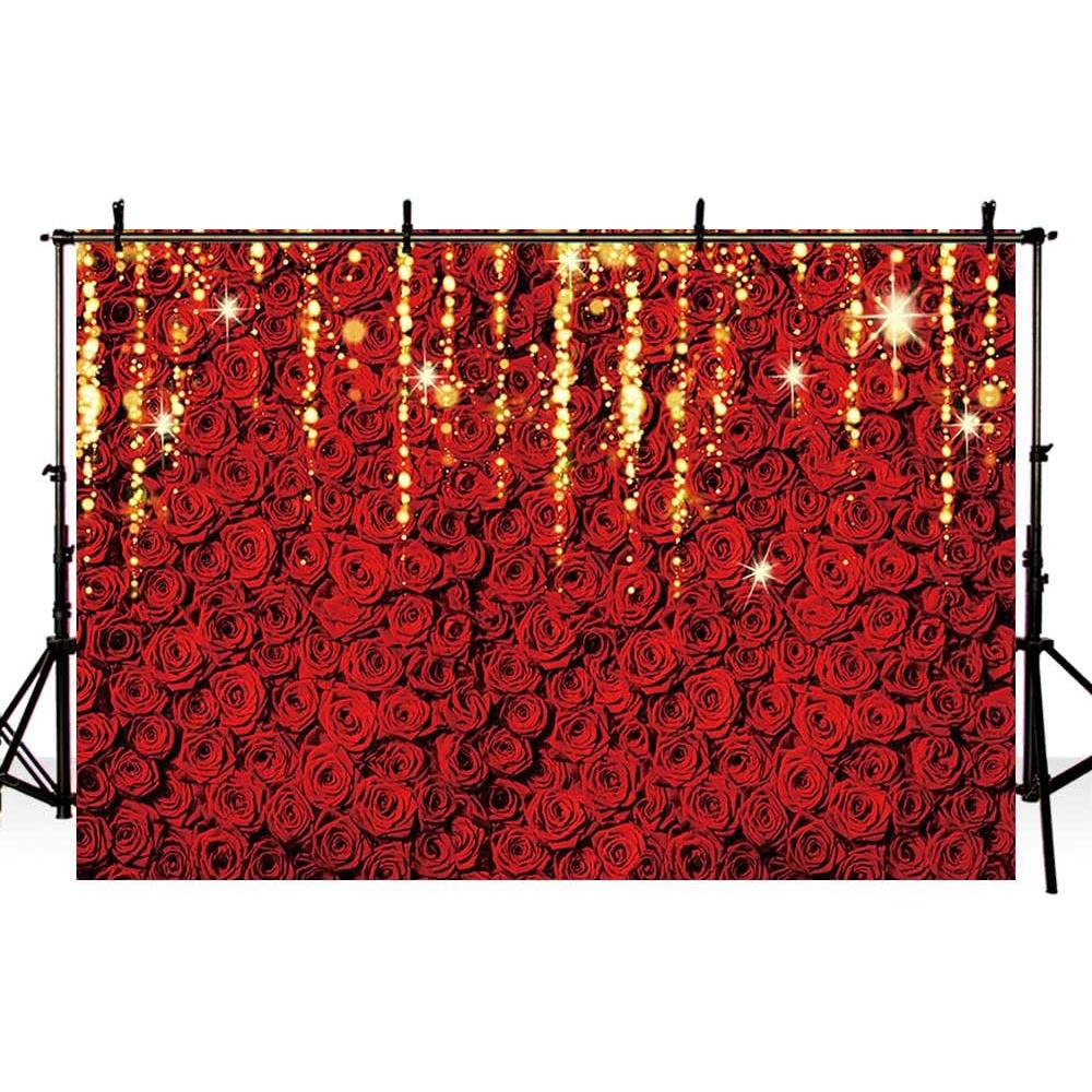 Fondo de Fotografía 2.1x1.5m AIBIIN Rosa Rojas Bokeh Brillante