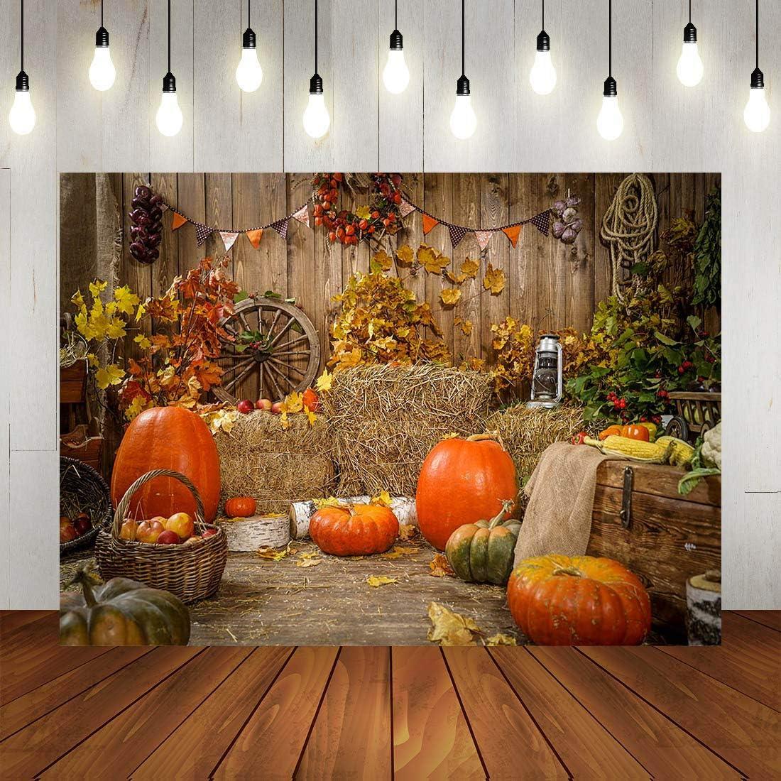 Fondo de Fotografía Otoño 2.1x1.5m Vinilo Art Studio