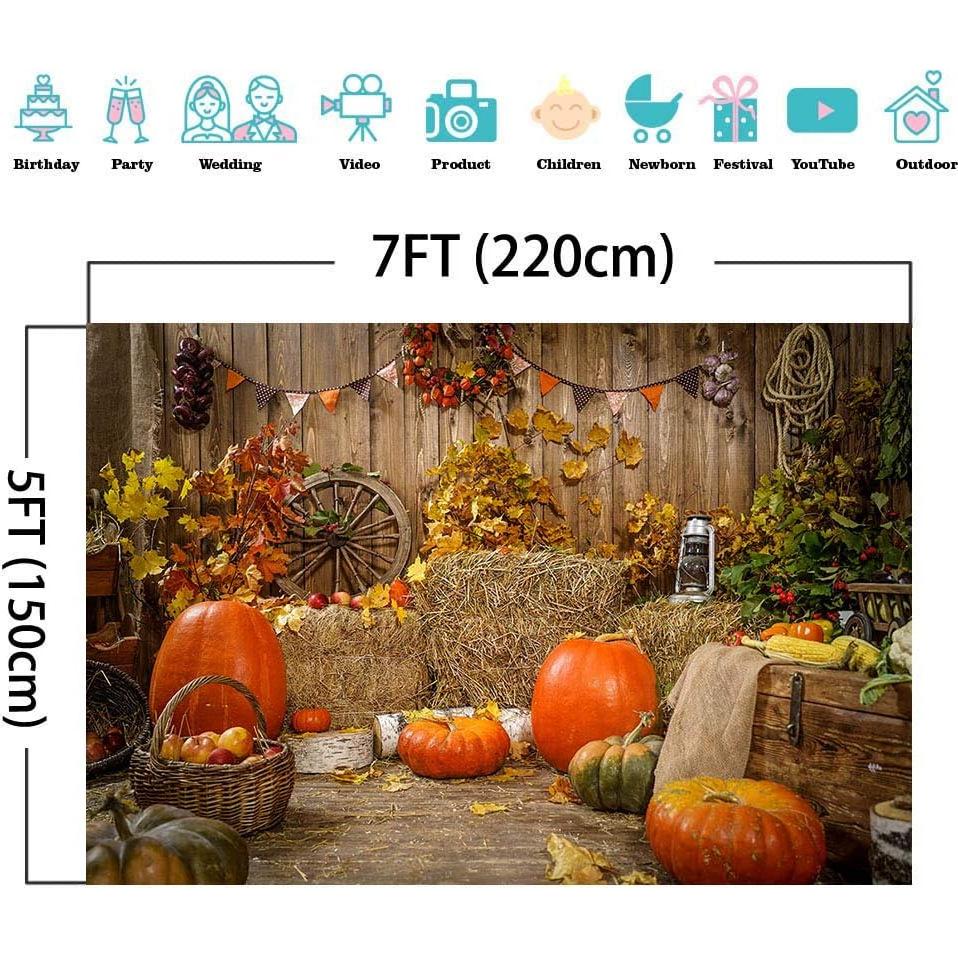 Fondo de Fotografía Otoño 2.1x1.5m Vinilo Art Studio