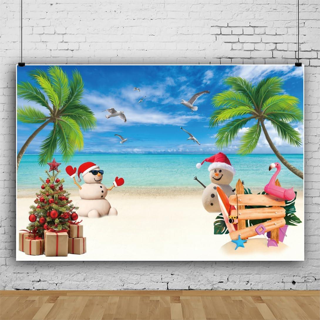 Fondo de Navidad Pnylzzyxh 300x240cm Playa Tropical Hawaiana
