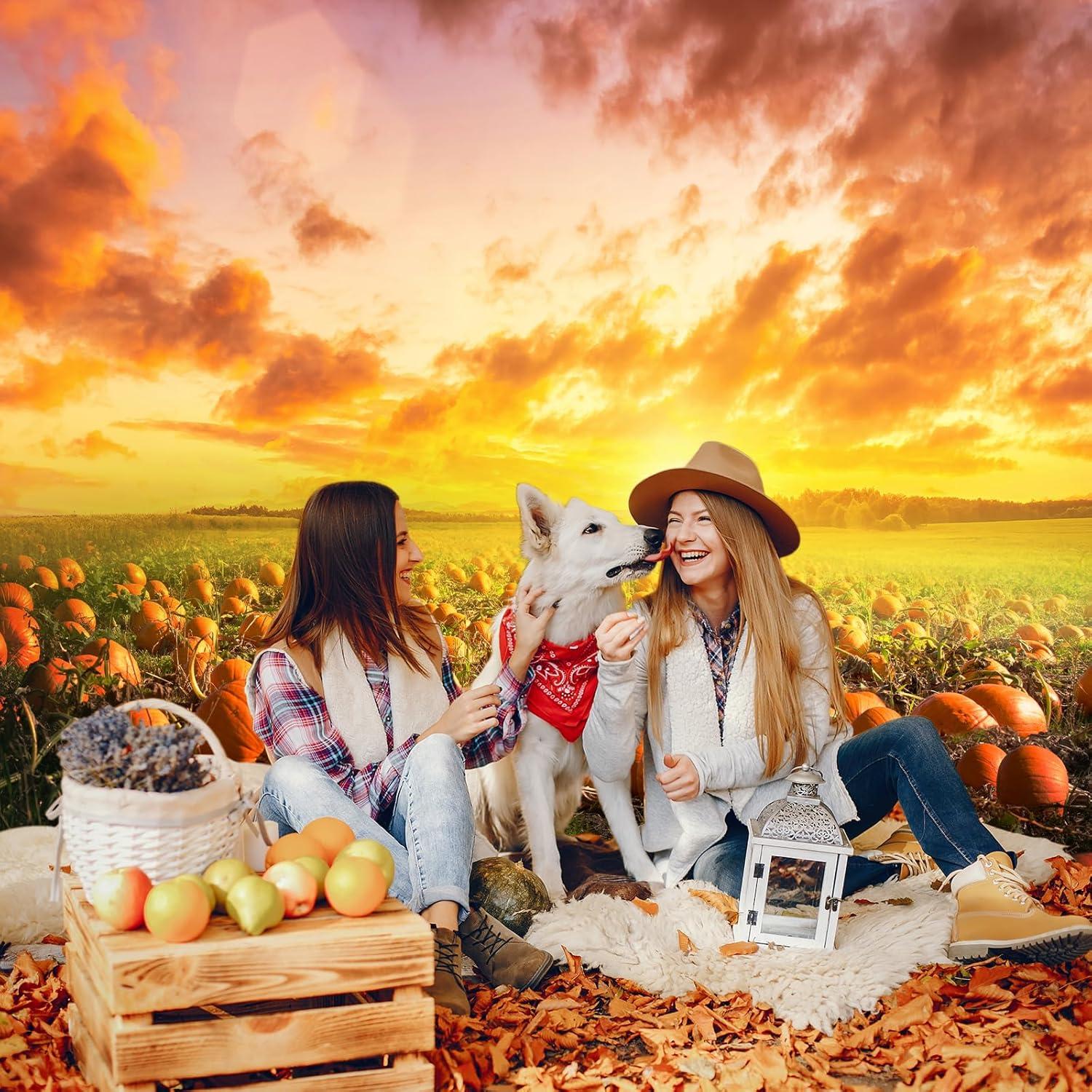 Fondo de Calabaza de Otoño Avezano 2.13x1.52m para Fotografía