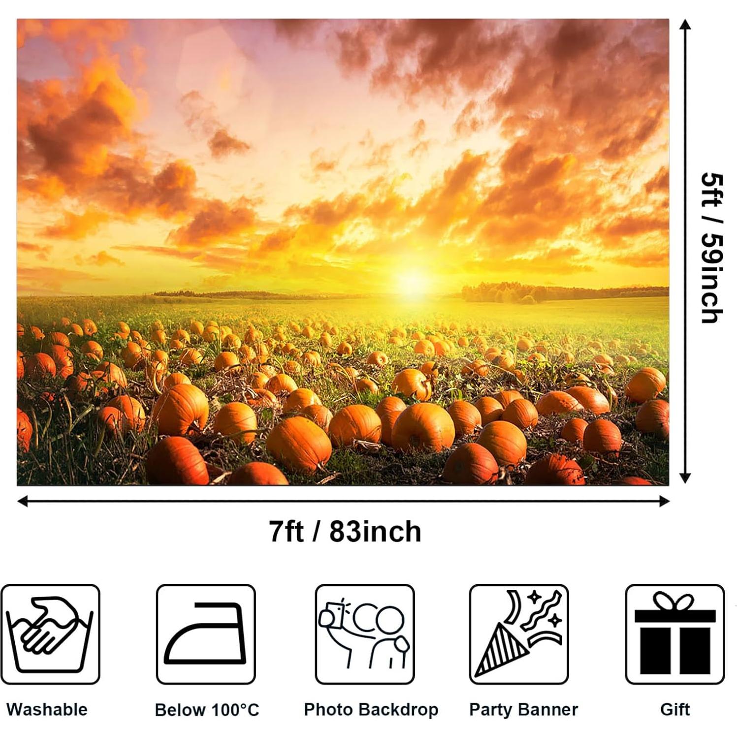 Fondo de Calabaza de Otoño Avezano 2.13x1.52m para Fotografía