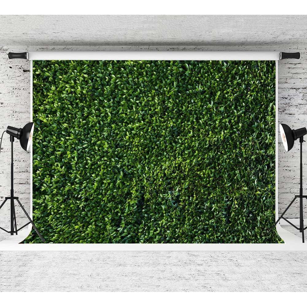Fondo de Fotografía 3x2.4m Hojas Verdes Estudio de Arte