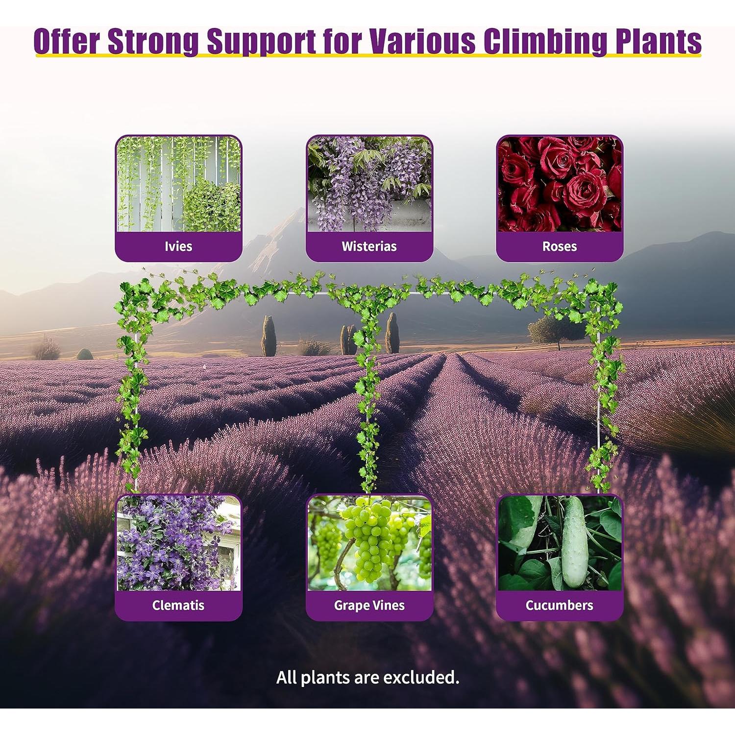 Soporte de Fondo para Bodas SHanxiym 6m x 3m Ajustable Plateado