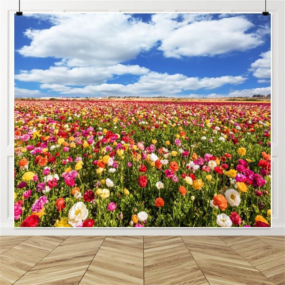 Fondo de Fotografía Hraiufc Campo de Flores 300x250cm