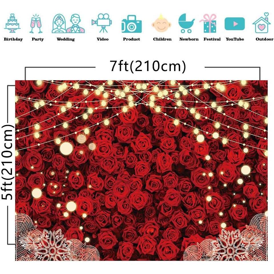 Fondo de Fotografía Rosa Roja Yongqian 213x152cm Decoración