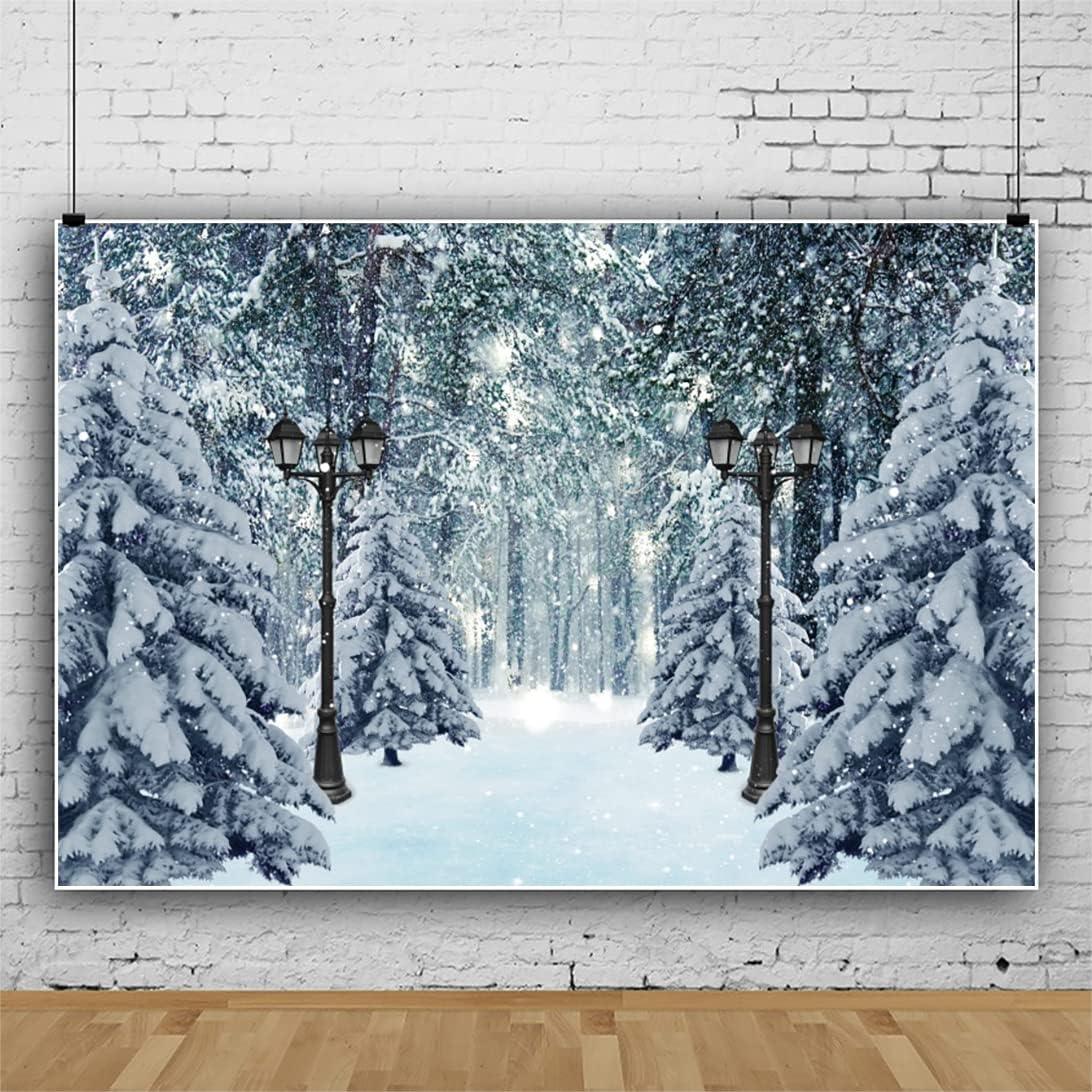 Fondo Fotográfico OERJU 12x10ft Invierno Nieve Decoración