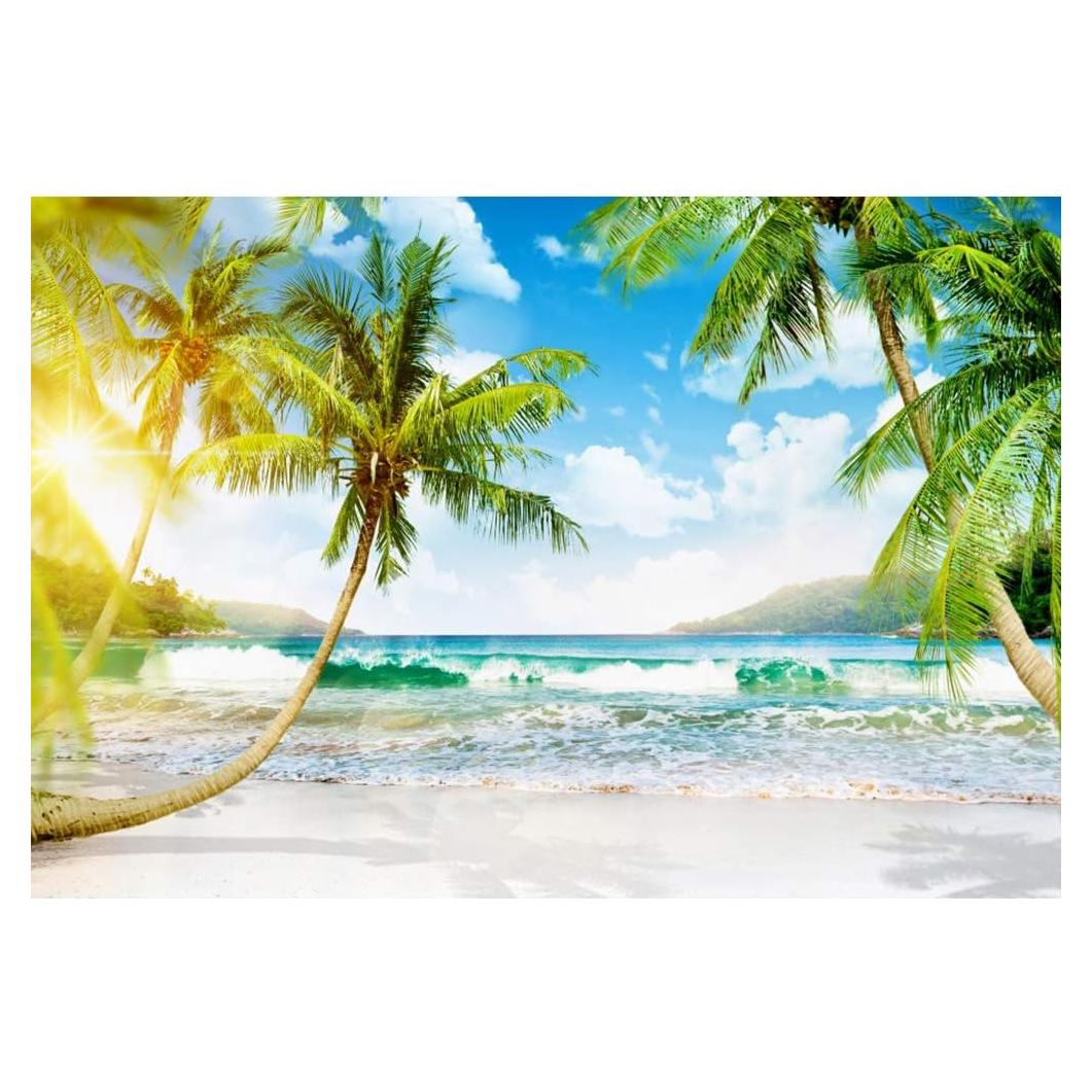 Fondo Fotográfico Vinilo Haoyiyi 250x180cm Playa Tropical