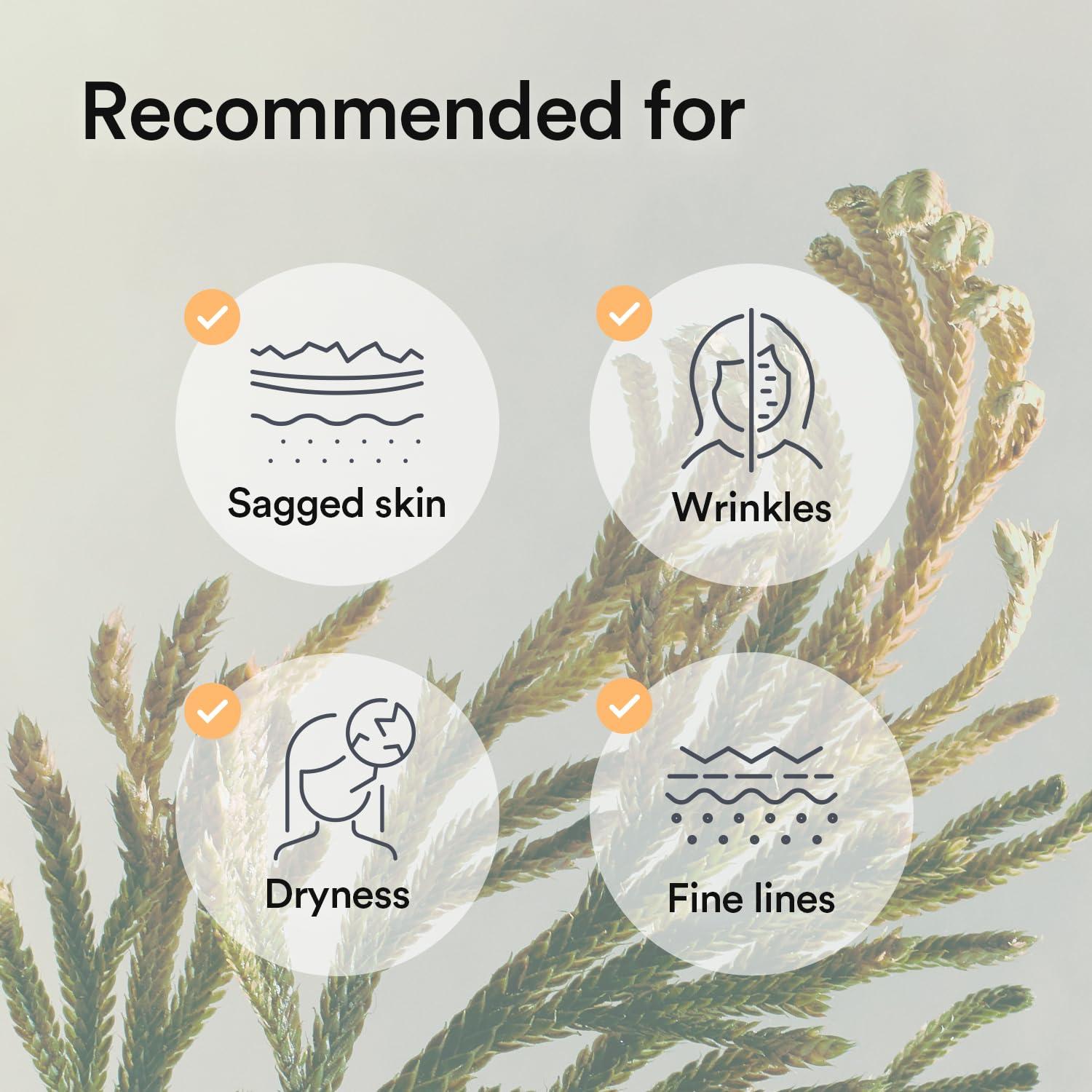 Mascarilla Hidrogel Abib Jericho Rosa 4 Hojas Nutritiva