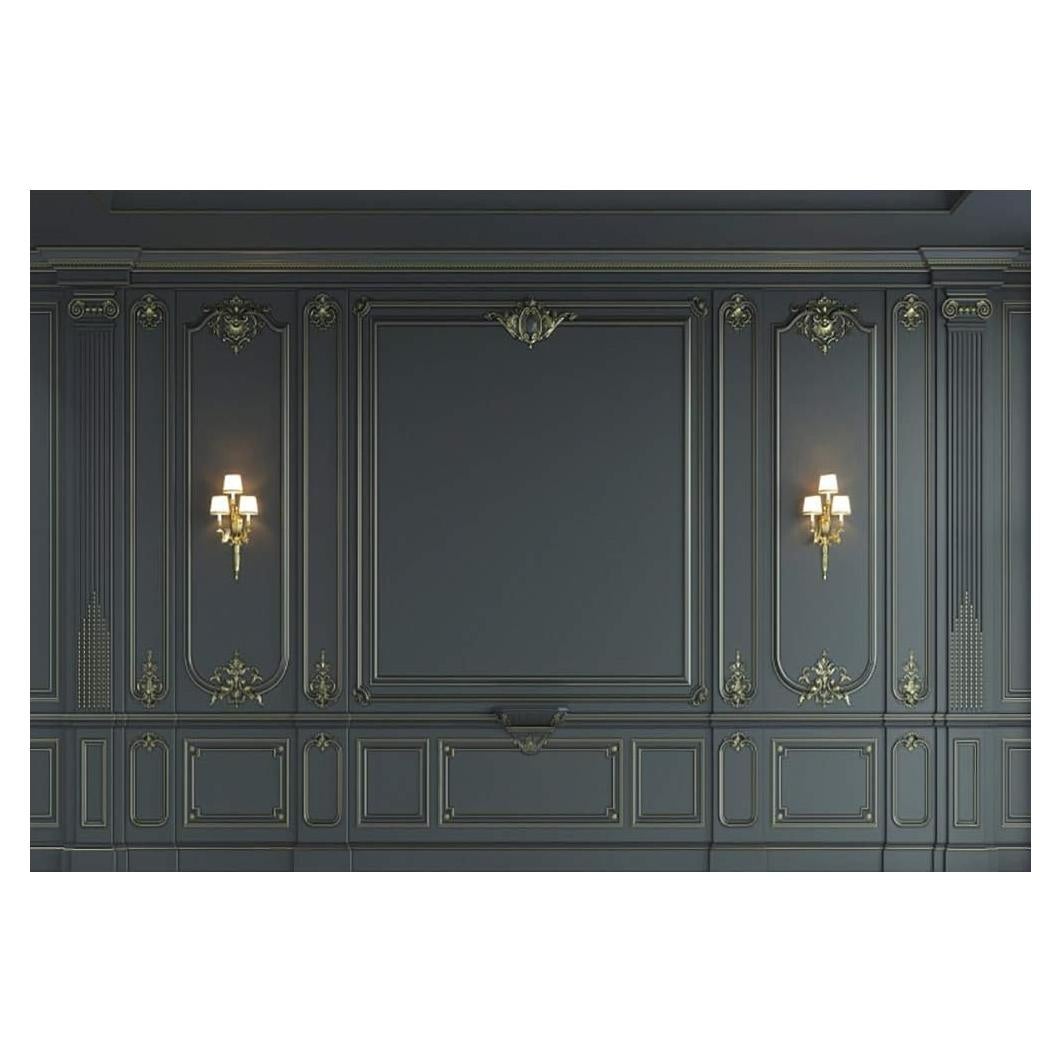 Fondo de Fotografía Vinilo Haoyiyi 250x180cm Barroco Negro