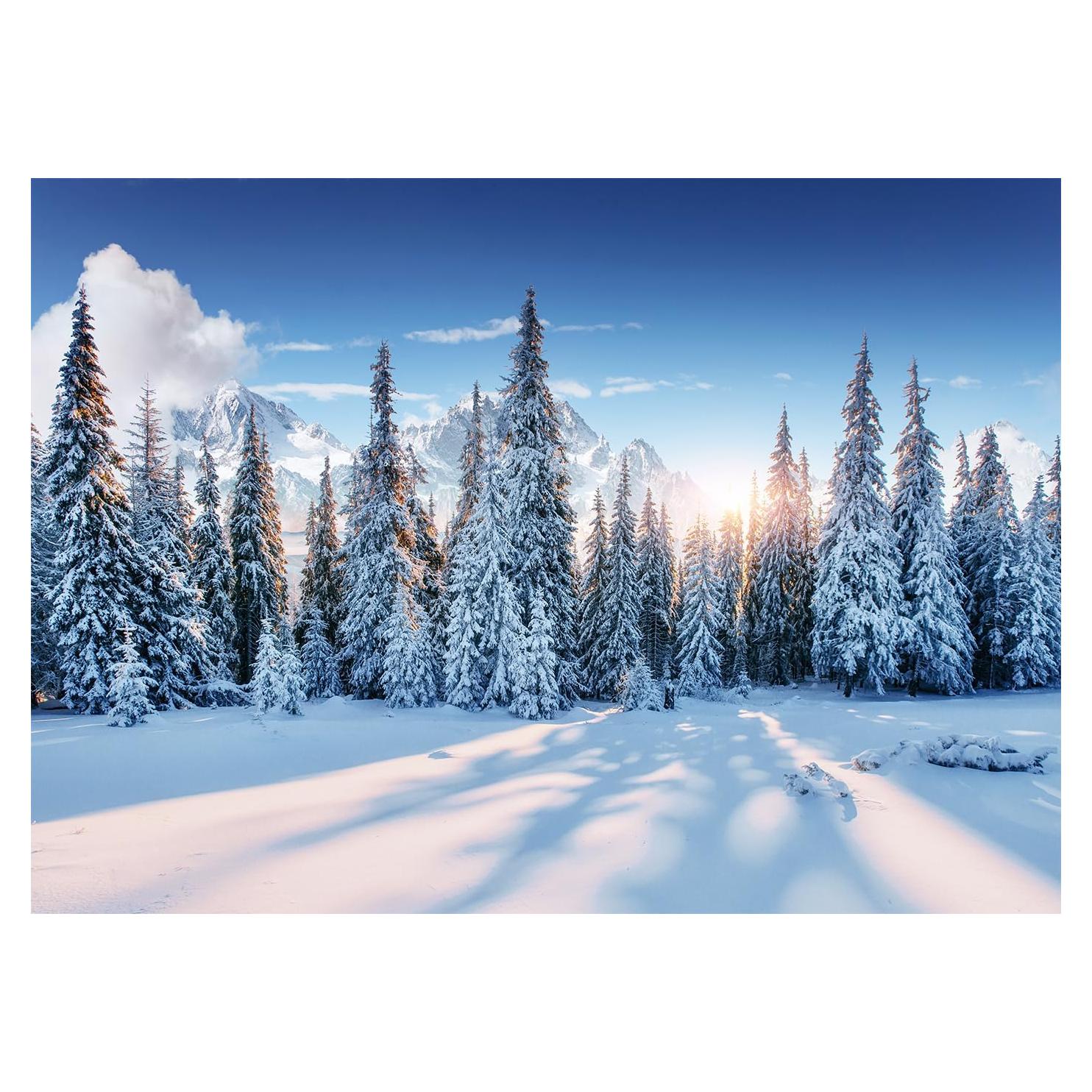 Fondo de Fotografía Navidad DePhoto 2.1x1.5m Bosque Nieve