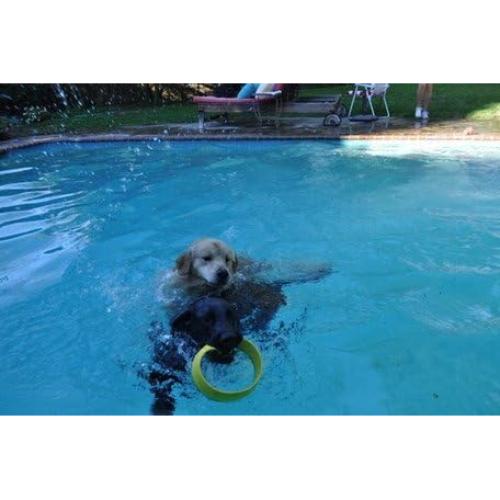 Lanzador de Anillos HurriK9 + 3 Anillos de Espuma EVA