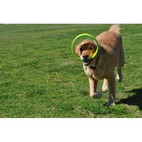 Lanzador de Anillos HurriK9 + 3 Anillos de Espuma EVA