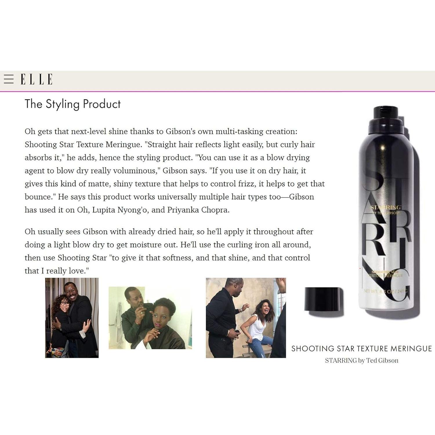 Textura de Merengue TED GIBSON 240g Volumen y Fragancia