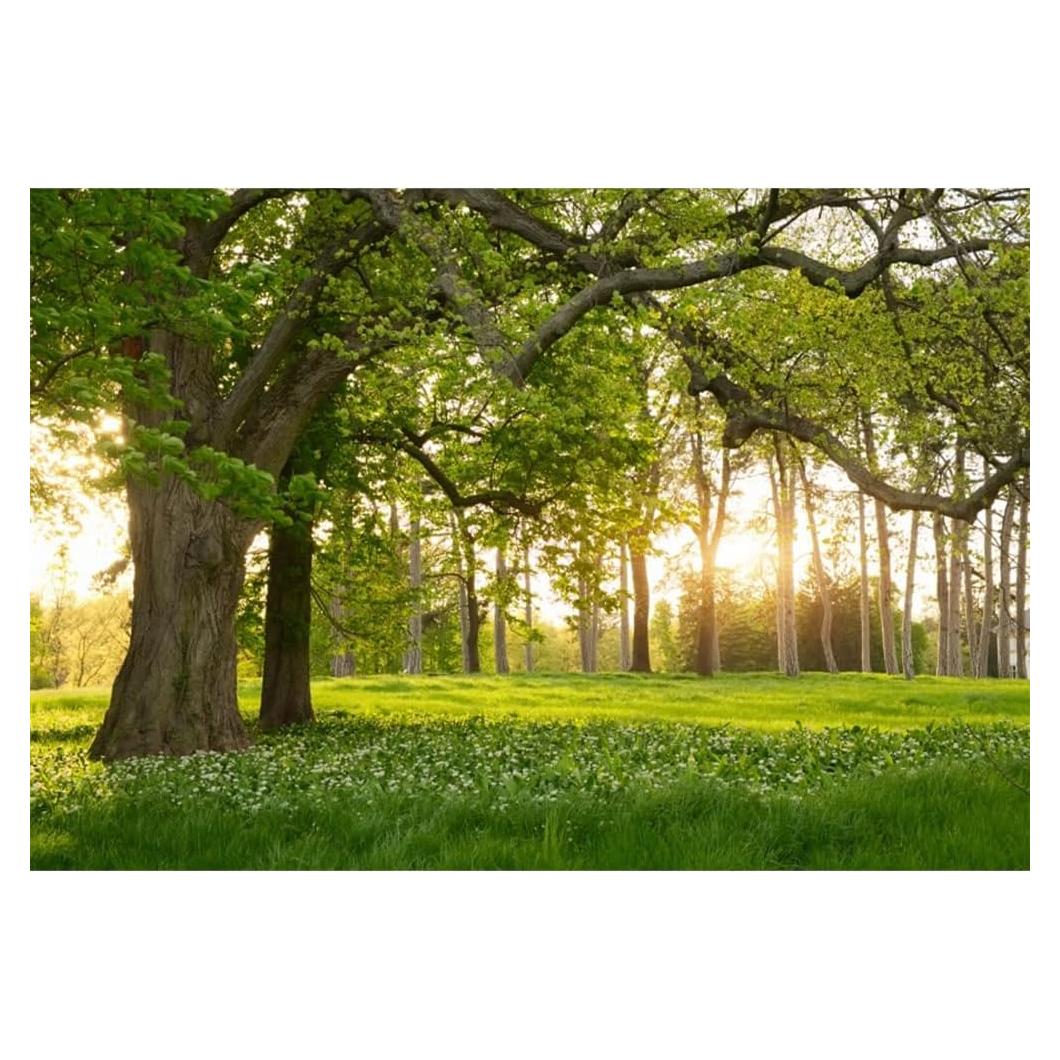 Fondo de Fotografía Vinilo Leowefowa 3x2.2m Naturaleza